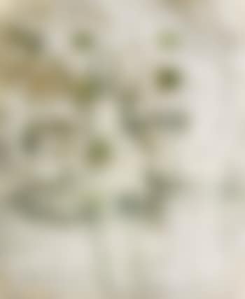 Ohne Titel (preview)