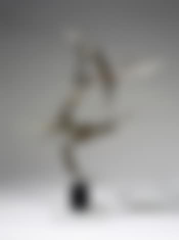 Raumplastik (preview)