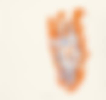 17 Zeichnungen (darunter 12 Kapitel-vorsatzblätter Aus Dem Buch ‘baselitz. Eine Fotografische Studie Von Edward Quinn‘) (preview)