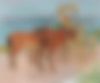 La bossette (preview)