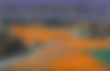 Kornfelder (preview)