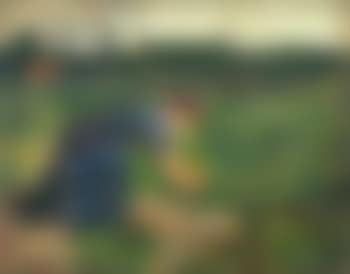 Frau Bei Der Gartenarbeit (preview)