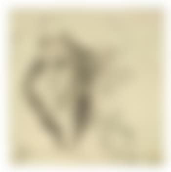 M. G. L. N. Svanshall (preview)