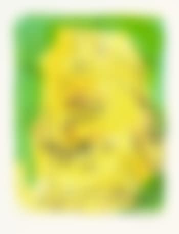 Dreimal Portrait (preview)