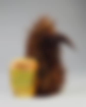 Eichhörnchen (l’ecureuil) (preview)