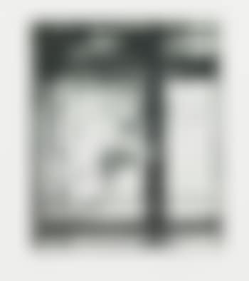 The Skowhegan Print (Lewison 34) (preview)