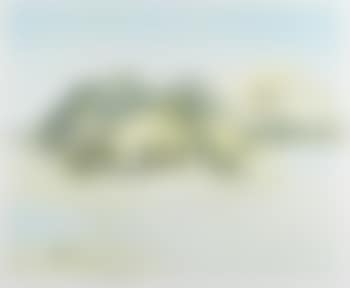 [Untitled] (preview)