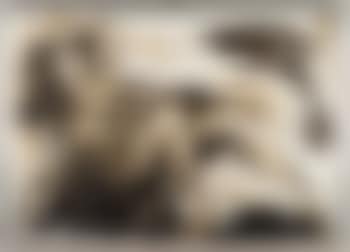 Disegno (preview)
