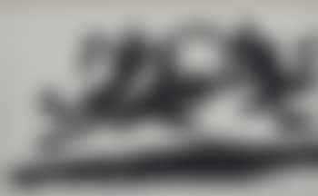 Dolphin and Swimmers (preview)