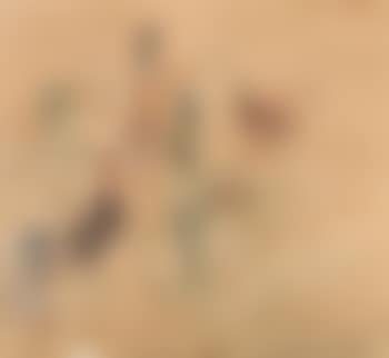Tetes et divers griffonnages (preview)
