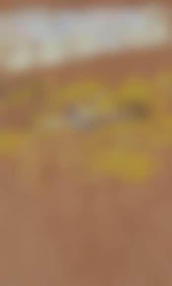 The artists house, Glutton Bridge, Derbyshire (preview)