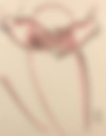 Mains et jambes (preview)