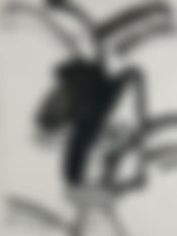 ohne Titel (preview)