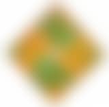 Segni incrociati verdearancio (preview)