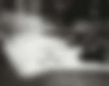 Pigeons and Parked Cars (preview)