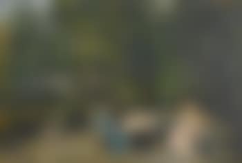 An Afternoon in the Park (preview)