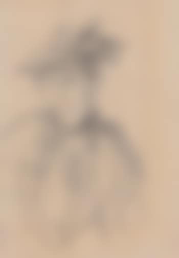 Woman with Hat (preview)