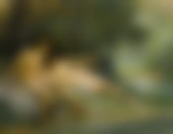 Nus au Bois (preview)
