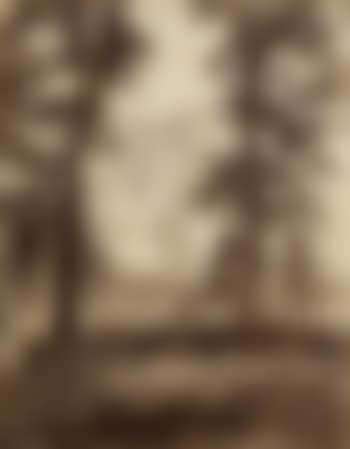 Californie. The Yosemite falls (preview)