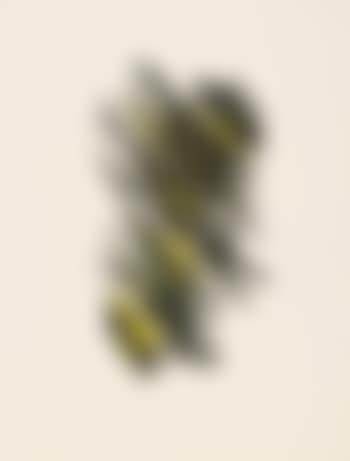L 25 (preview)