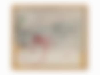 Post Cards (preview)