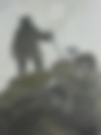 Farmer with Two Sheepdogs on a Mountain Top (preview)