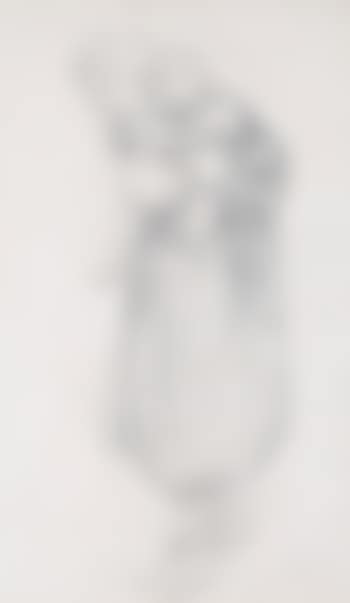 A Mother Carrying Her Child On Her Back (preview)
