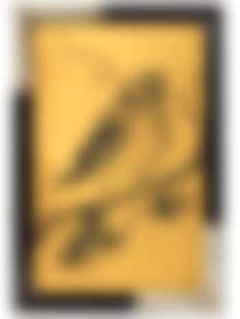 Oiseau branché (preview)