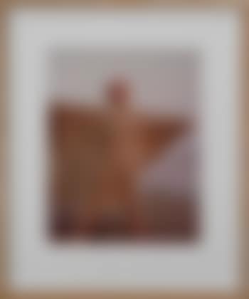 Marilyn Monroe, on the beach with towel (preview)