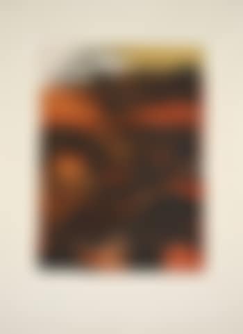 Lithographie 294 (preview)