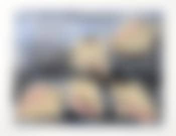Five shells (preview)