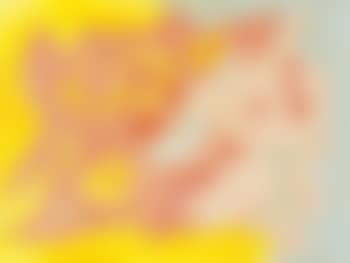 Composizione (preview)