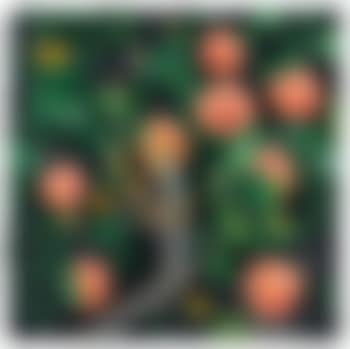Mandarini (preview)