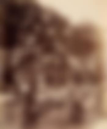 Roses bagatelle (preview)