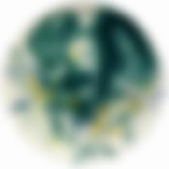 Plat b 27 (preview)
