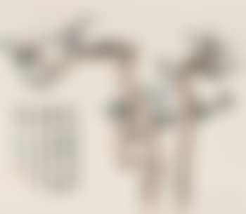 Eleven-page painting album (preview)