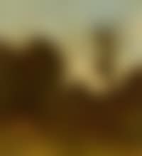 Forest landscape (preview)