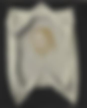 Veronica's Veil (preview)