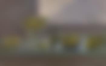 Still life with fruits (preview)