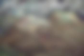 Ladang Tembaku di Lamuk Temanggung (preview)