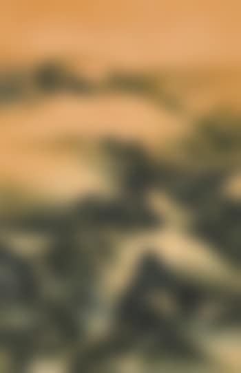 Dawn (preview)
