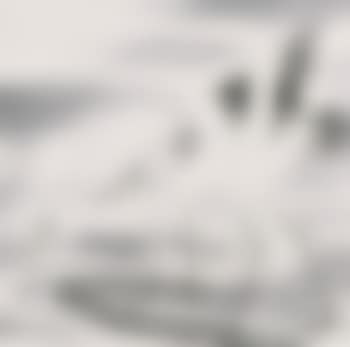 Two Cranes (preview)