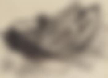 Four men in a rowing boat (preview)