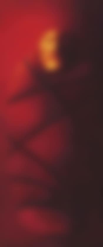 Wrapped (preview)