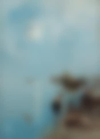 Scene from the outskirts of Venice (preview)
