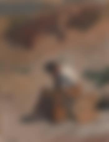 Figur in den Dünen (preview)