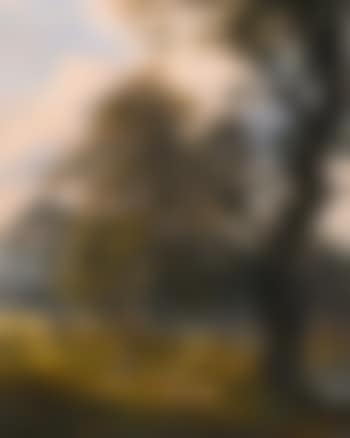 Dyrehaven near Copenhagen (preview)