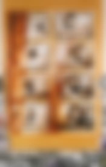 Loliondo Lion Charge (preview)