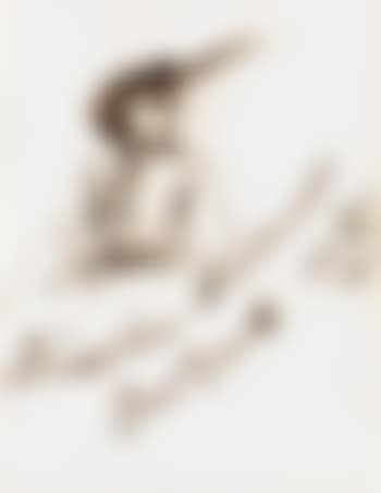 Seated Woman Wearing a Hat with a Feather Plume (preview)