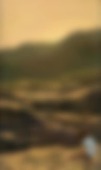 Tree Study (preview)